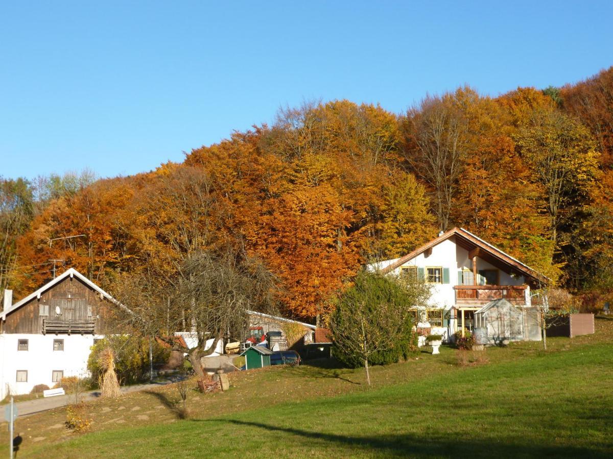 Ferienappartements mit Herz Bischofsmais Buitenkant foto