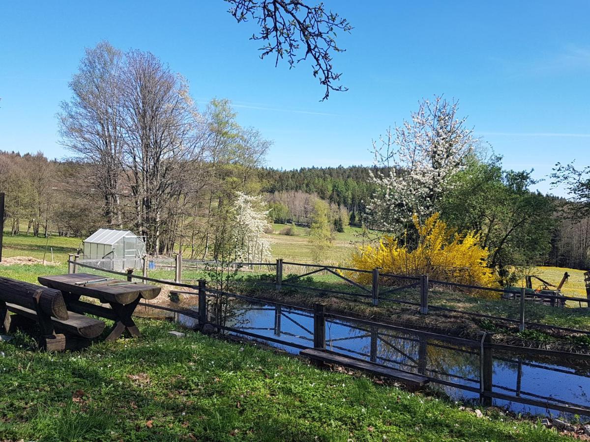 Ferienappartements mit Herz Bischofsmais Buitenkant foto